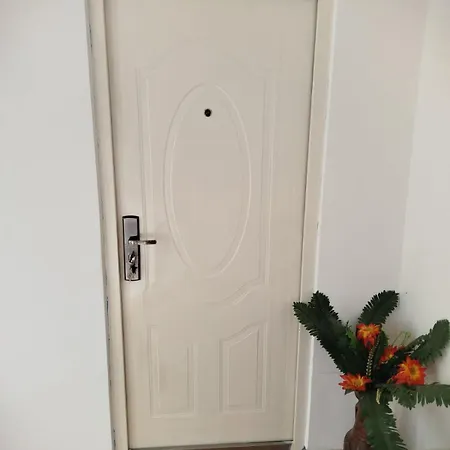 Apartment Milic