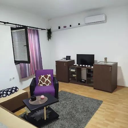 Apartment Milic