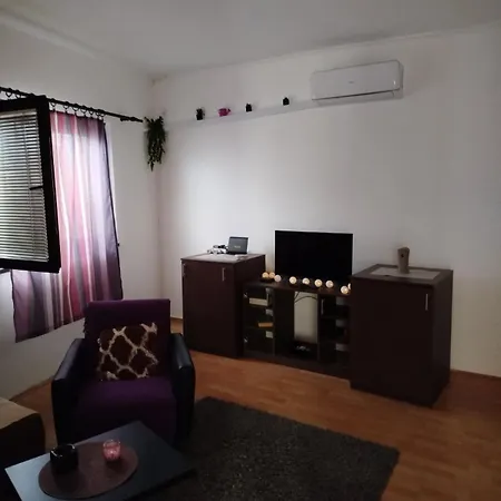 Milic Apartment *